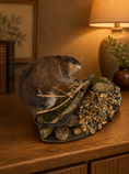 Laad de afbeelding in de galerij, Muskusrat -Ondatra zibethicus