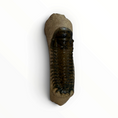 Cargar la imagen en la vista de la galería, Trilobito en matriz – 7 × 4 cm | N.º 004