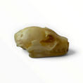 Load image into Gallery viewer, Cynopterus sphinx – Vleermuisschedel | 2,5–3 cm
