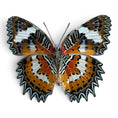Laad de afbeelding in de galerij, Cethosia Hypsea

