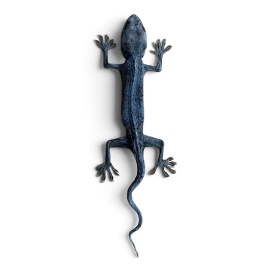 Gekko gecko tokeh